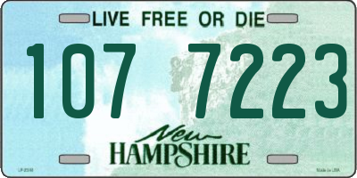 NH license plate 1077223
