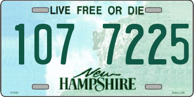 NH license plate 1077225