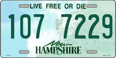 NH license plate 1077229