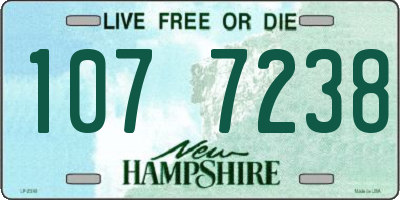 NH license plate 1077238