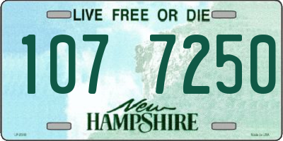 NH license plate 1077250