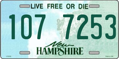 NH license plate 1077253