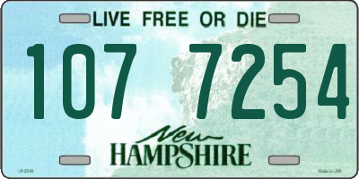 NH license plate 1077254