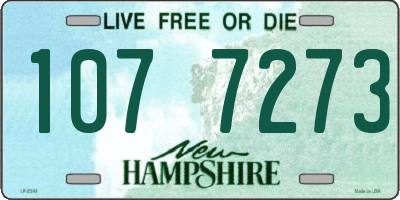 NH license plate 1077273