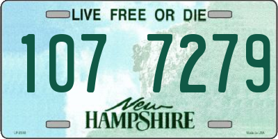 NH license plate 1077279