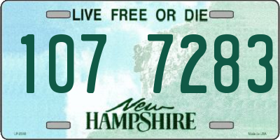 NH license plate 1077283