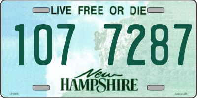 NH license plate 1077287