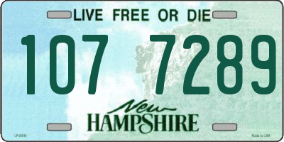 NH license plate 1077289