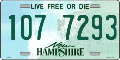 NH license plate 1077293