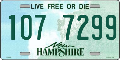 NH license plate 1077299