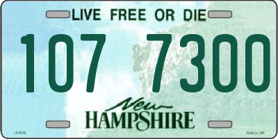 NH license plate 1077300