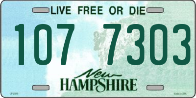 NH license plate 1077303