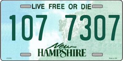 NH license plate 1077307