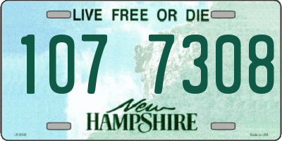 NH license plate 1077308