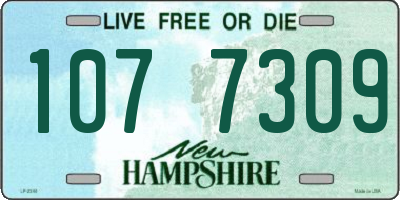 NH license plate 1077309
