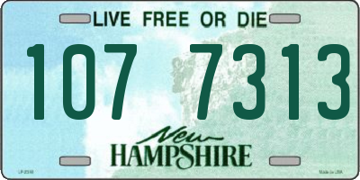 NH license plate 1077313