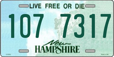 NH license plate 1077317