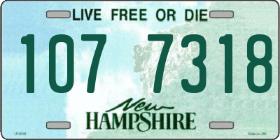 NH license plate 1077318