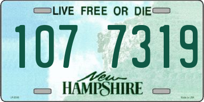 NH license plate 1077319
