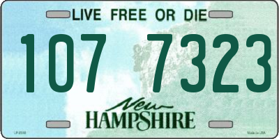 NH license plate 1077323
