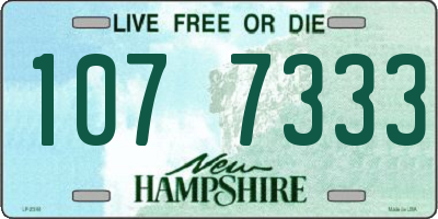 NH license plate 1077333