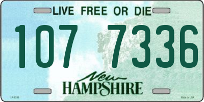 NH license plate 1077336
