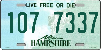 NH license plate 1077337