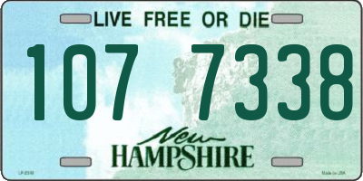 NH license plate 1077338