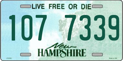 NH license plate 1077339