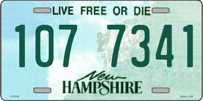 NH license plate 1077341