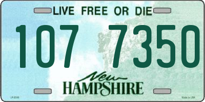 NH license plate 1077350