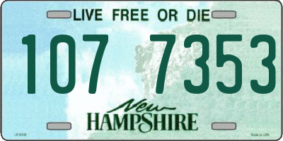 NH license plate 1077353