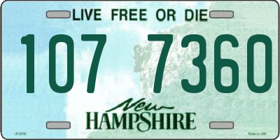 NH license plate 1077360
