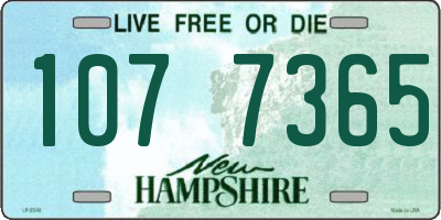 NH license plate 1077365
