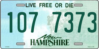NH license plate 1077373