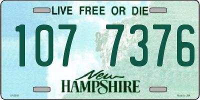 NH license plate 1077376