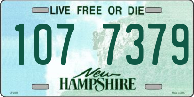NH license plate 1077379