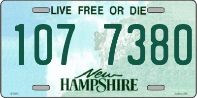 NH license plate 1077380