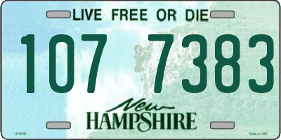 NH license plate 1077383