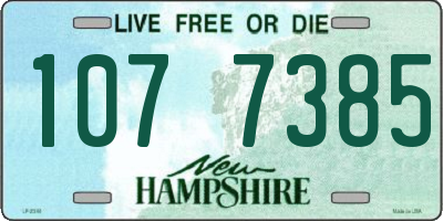 NH license plate 1077385