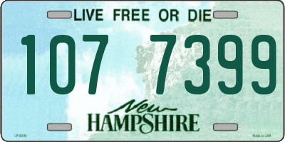 NH license plate 1077399