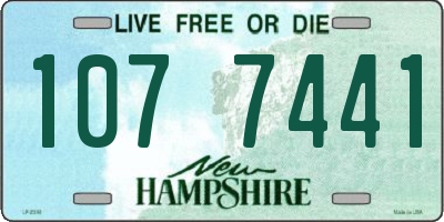 NH license plate 1077441