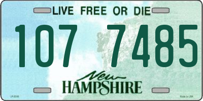 NH license plate 1077485