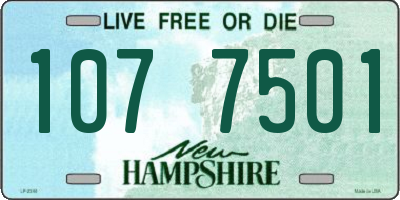 NH license plate 1077501