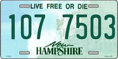 NH license plate 1077503