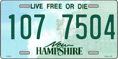 NH license plate 1077504