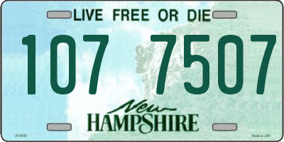 NH license plate 1077507