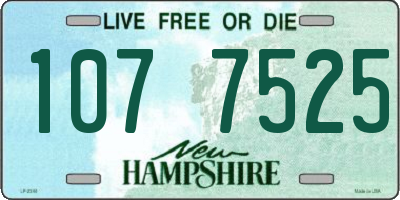 NH license plate 1077525