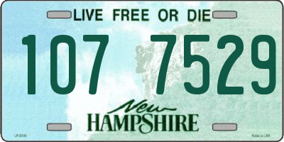 NH license plate 1077529