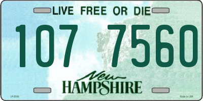 NH license plate 1077560
